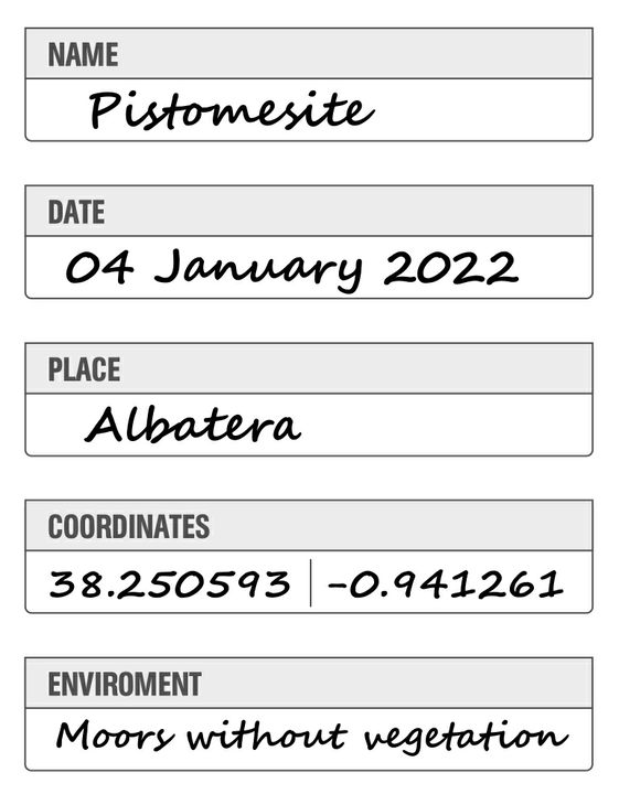 Minerals – Field Notebook contents name and date Minerals - Field Notebook contents name and date
