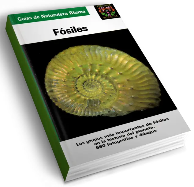 Guías de Naturaleza Blume - Fósiles 3D