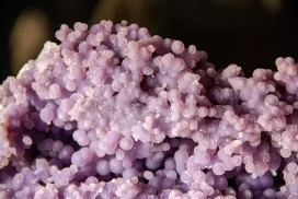 Calcedonia Uva. Tu colección de minerales puede tener ejemplares tan espectaculares como éste